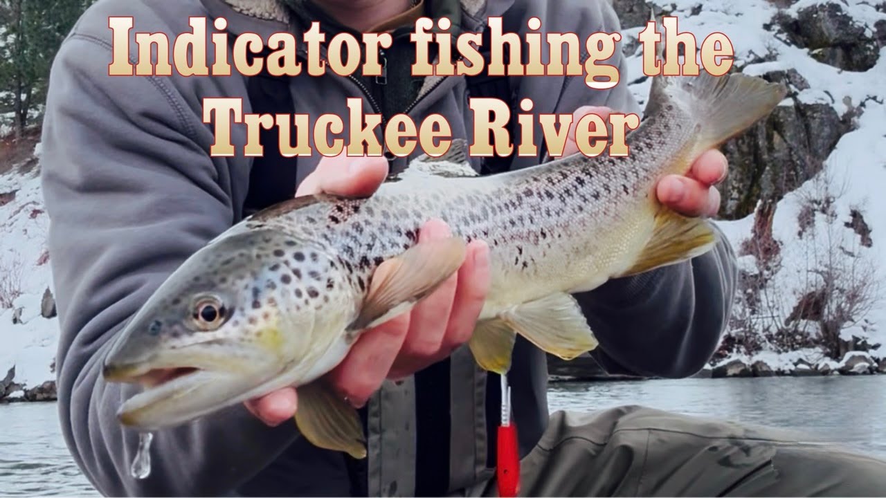 INDICATOR FISHING THE TRUCKEE RIVER