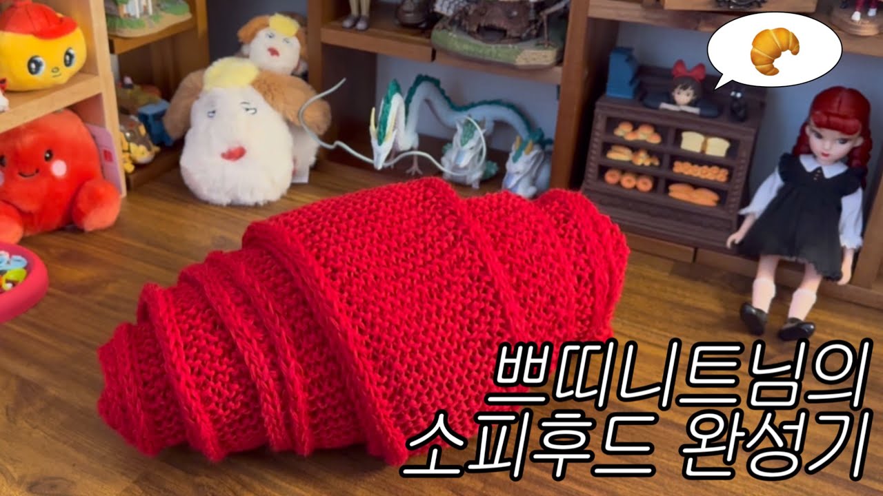 뜨개로그 | 소피후드 완성기 | 소피후드 유행 막차 타기 🏃🏻‍♀️| sophie hood | petite knit