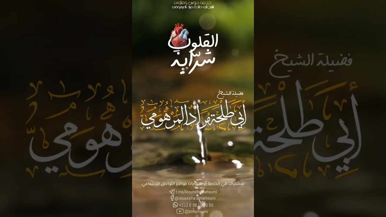 القلوب شرابة