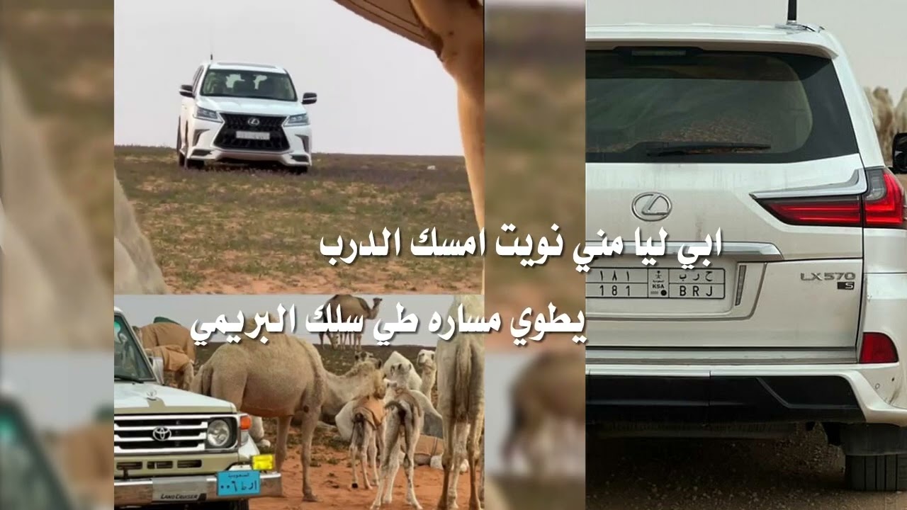 ⚡️ياراكب الي لوحته رمزها حرب ⚡️ كلمات : سعد عبدالرحمن فضيل السليمي / اداء : عمر السليمي 