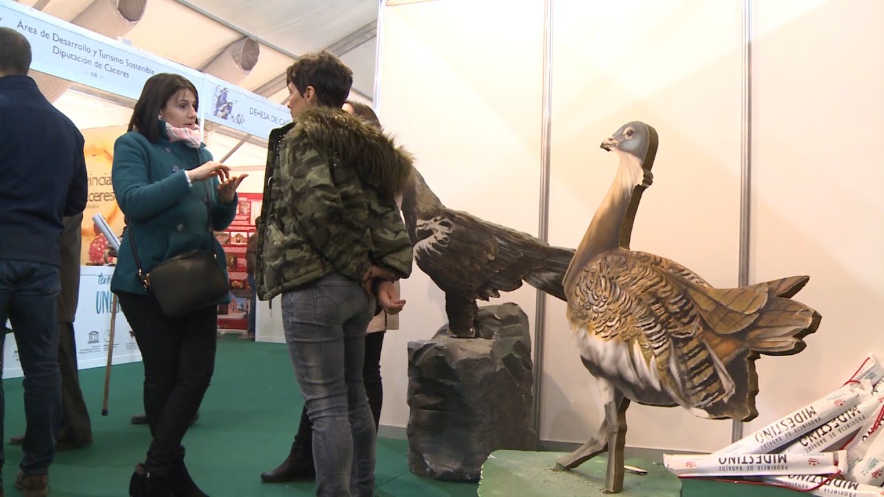Monfragüe acoge la feria referencia de ornitología