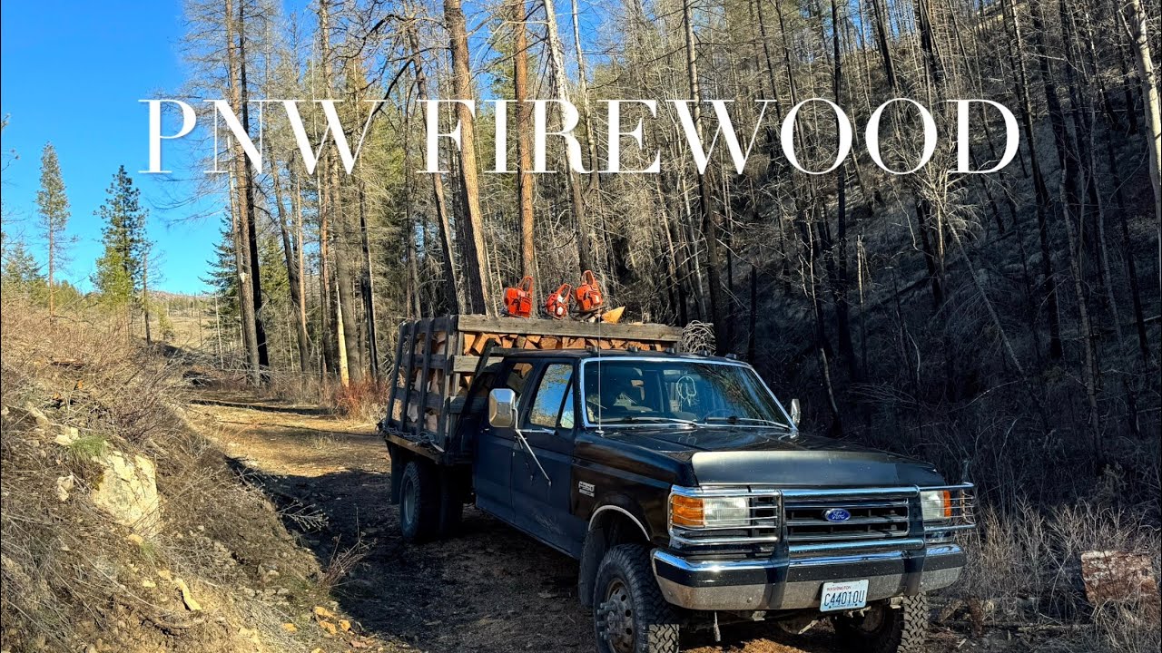 Cutting Firewood 2026  🌲 🪓 🪵 🔥 