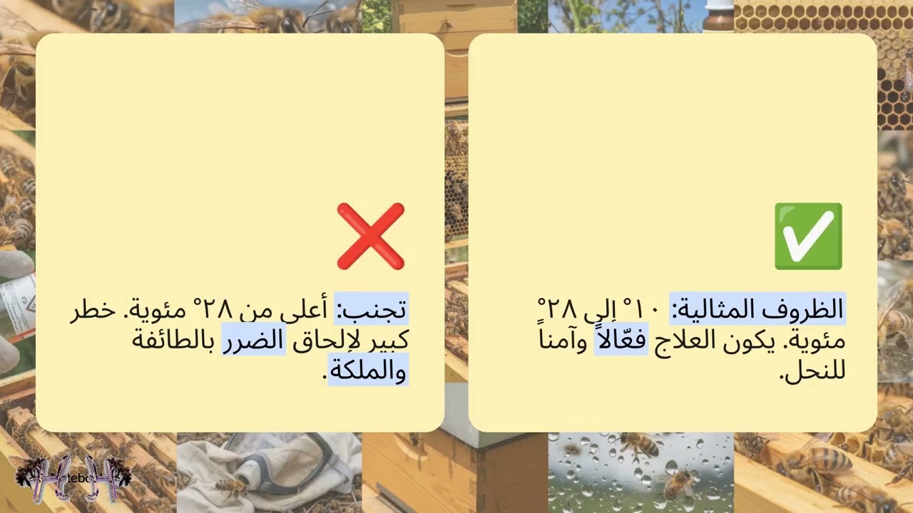حمض الفورميك (الطريقة السريعة) لمكافحة الفاروا