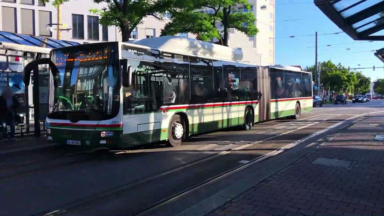 #82 MAN A23 Lion´s City G NG313 CNG |KOM 3561 ~Voith [Sound]-schöner Hydro |SWA Bus Augsburg Li. 25