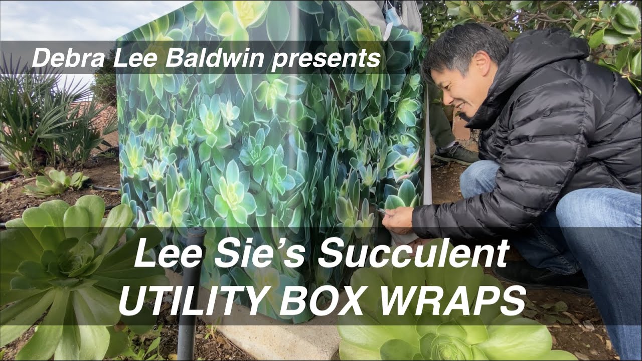 Utility Boxes Become Succulent Artworks