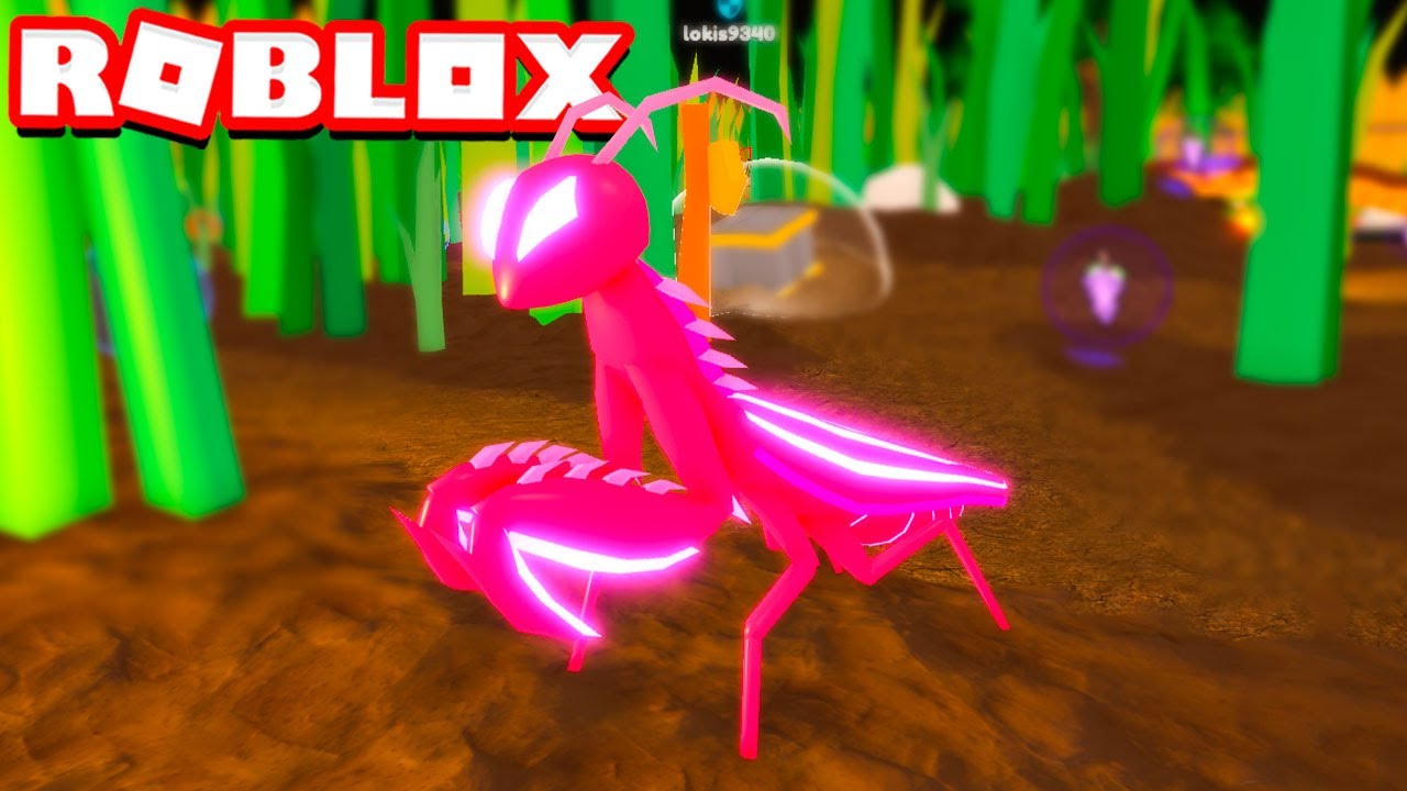 GRILO COR DE ROSA | Roblox - Little World