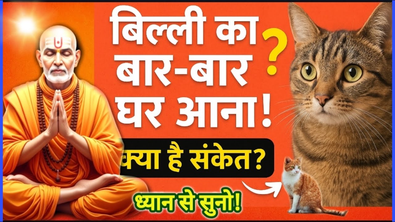 बिल्ली का बार बार घर आना! क्या है संकेत? शुभ या अशुभ ? ध्यान से सुनो! Paramhansa Yogananda |