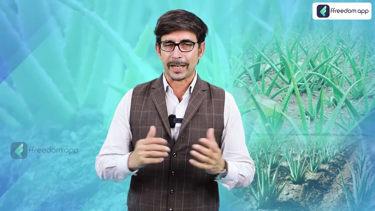 कम पानी, जमीन कैसी भी हो हर जगह उगेगा ऐलोवेरा | aloevera farming details | aloe vera ki kheti |