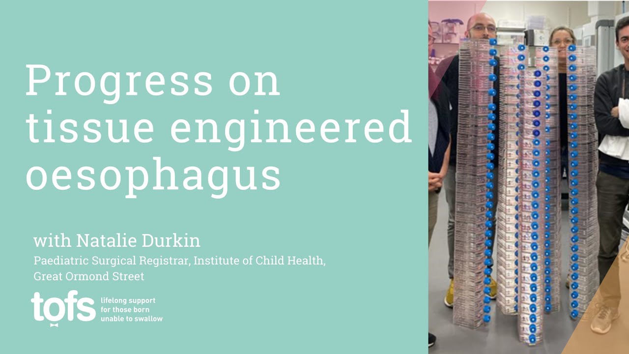 Progress on the tissue engineered oesophagus