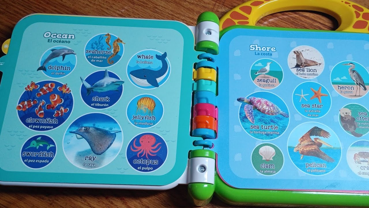 Easy words 50 animals names and fun facts for toddler part 1