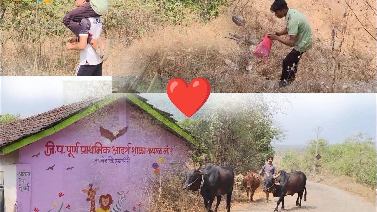  बोरांच्या शोधात आलो बाहेर 🤣|| Marathi Vlog ❤️|| SurajBhanseVlog ❤️ || #dailyvlog 