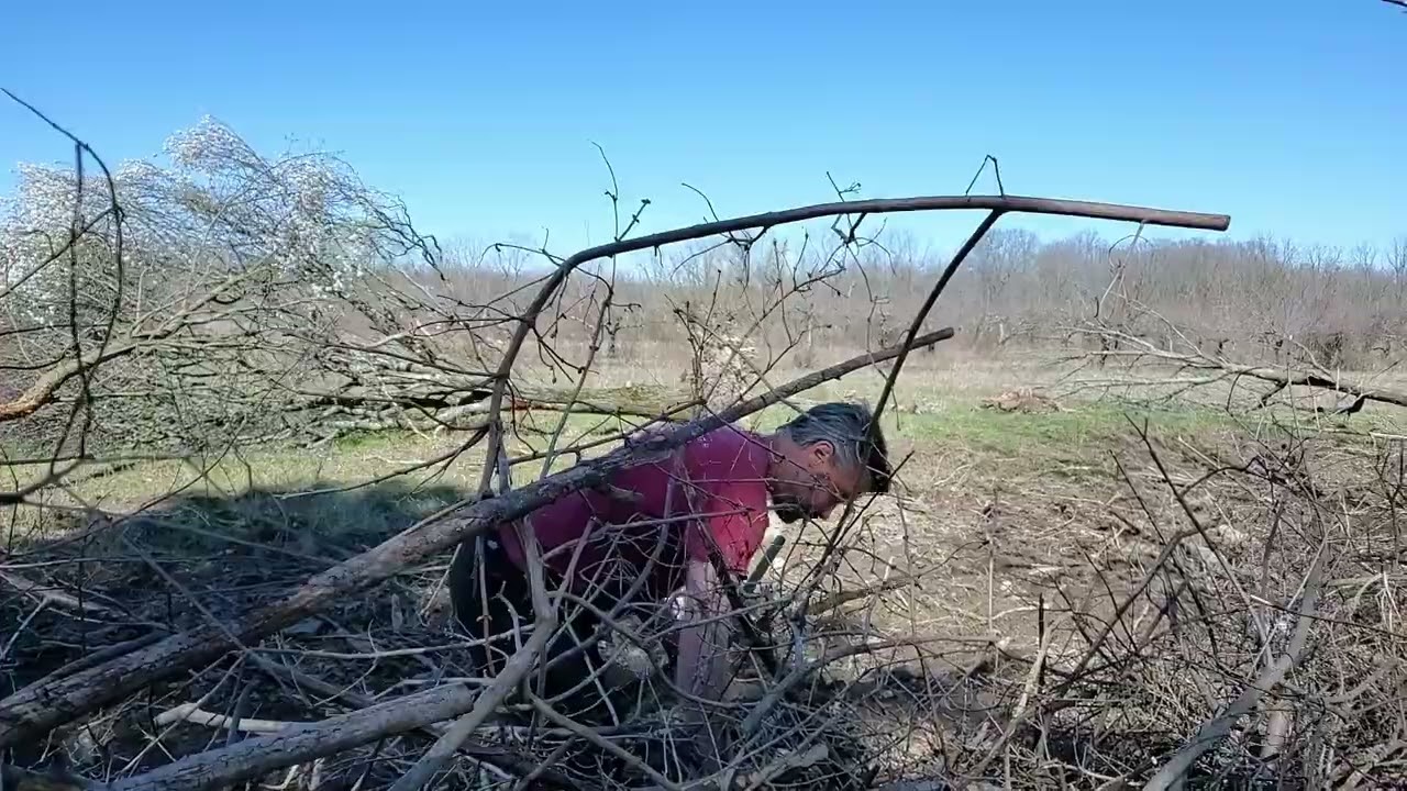 Plant Solutions to People Problems - Part One