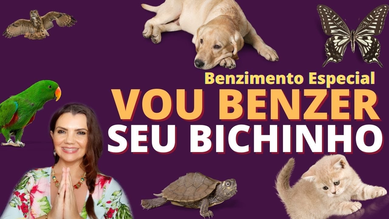 BENZIMENTO PARA ANIMAIS - BENZER ANIMAIS - SÃO FRANCISCO DE ASSIS - BENZEDEIRA