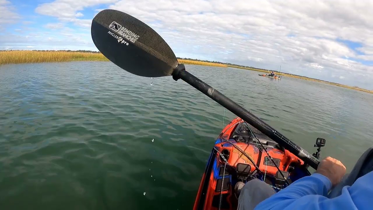 Pinfish Rescue