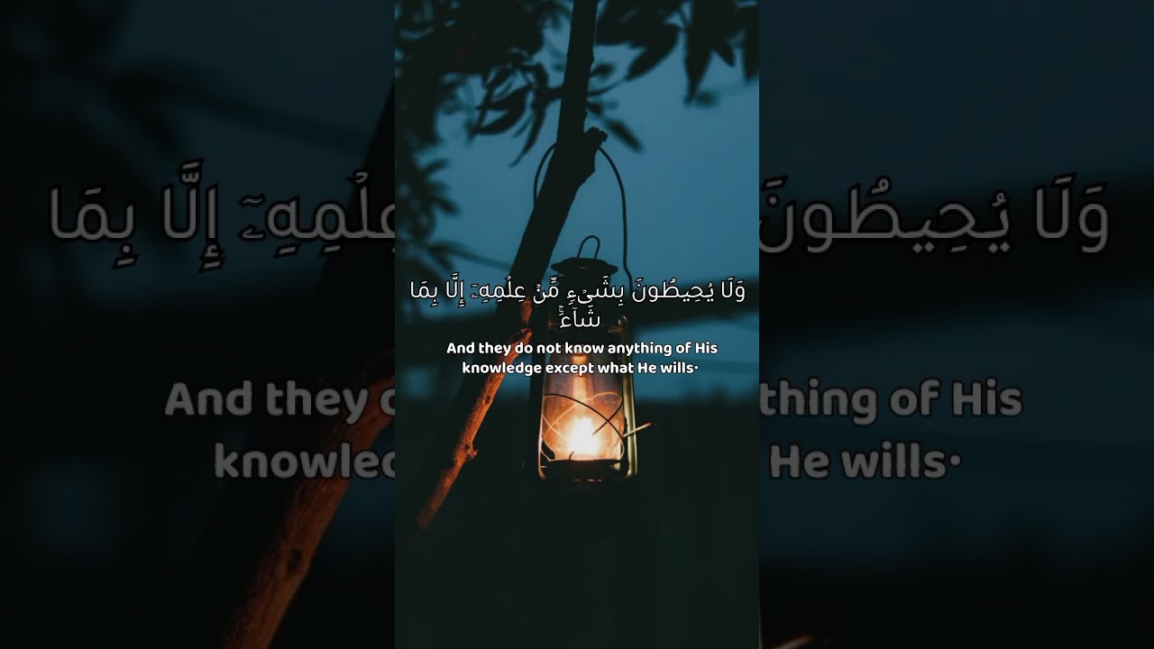 اللهم لك الحمد كما ينبغي لجلال وجهك ولعظيم سلطانك🤲🤲♥✍️✍️