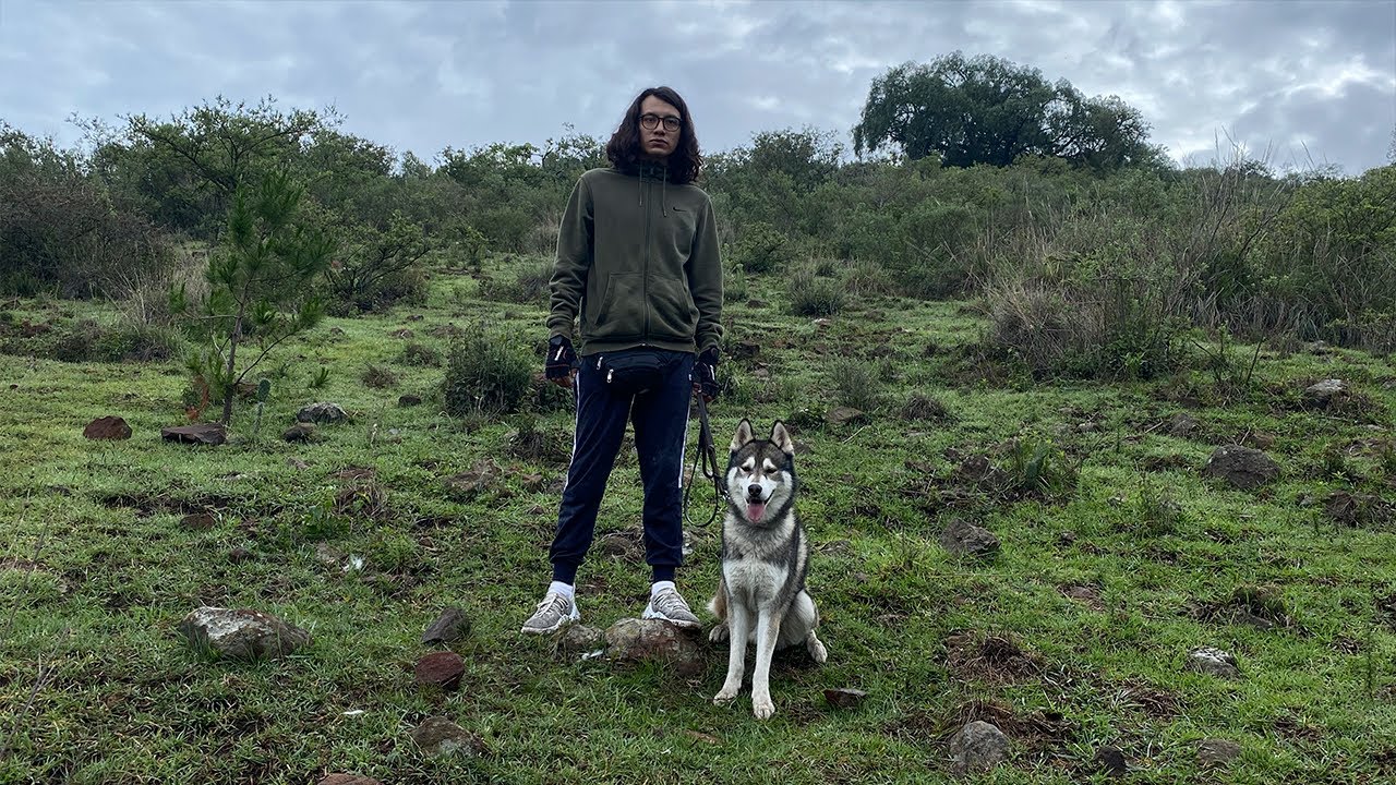 HUSKY SIBERIANO: MANUAL PARA PRINCIPIANTES