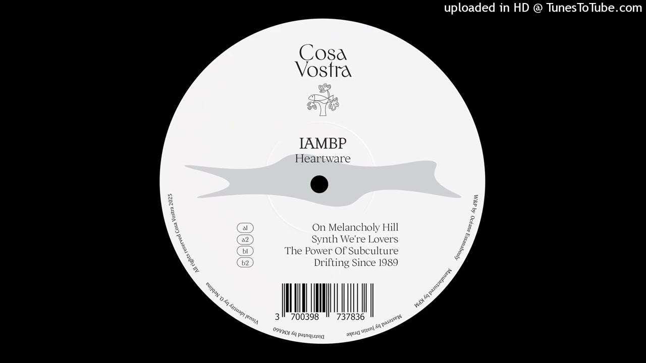 IAMBP - Synth We're Lovers