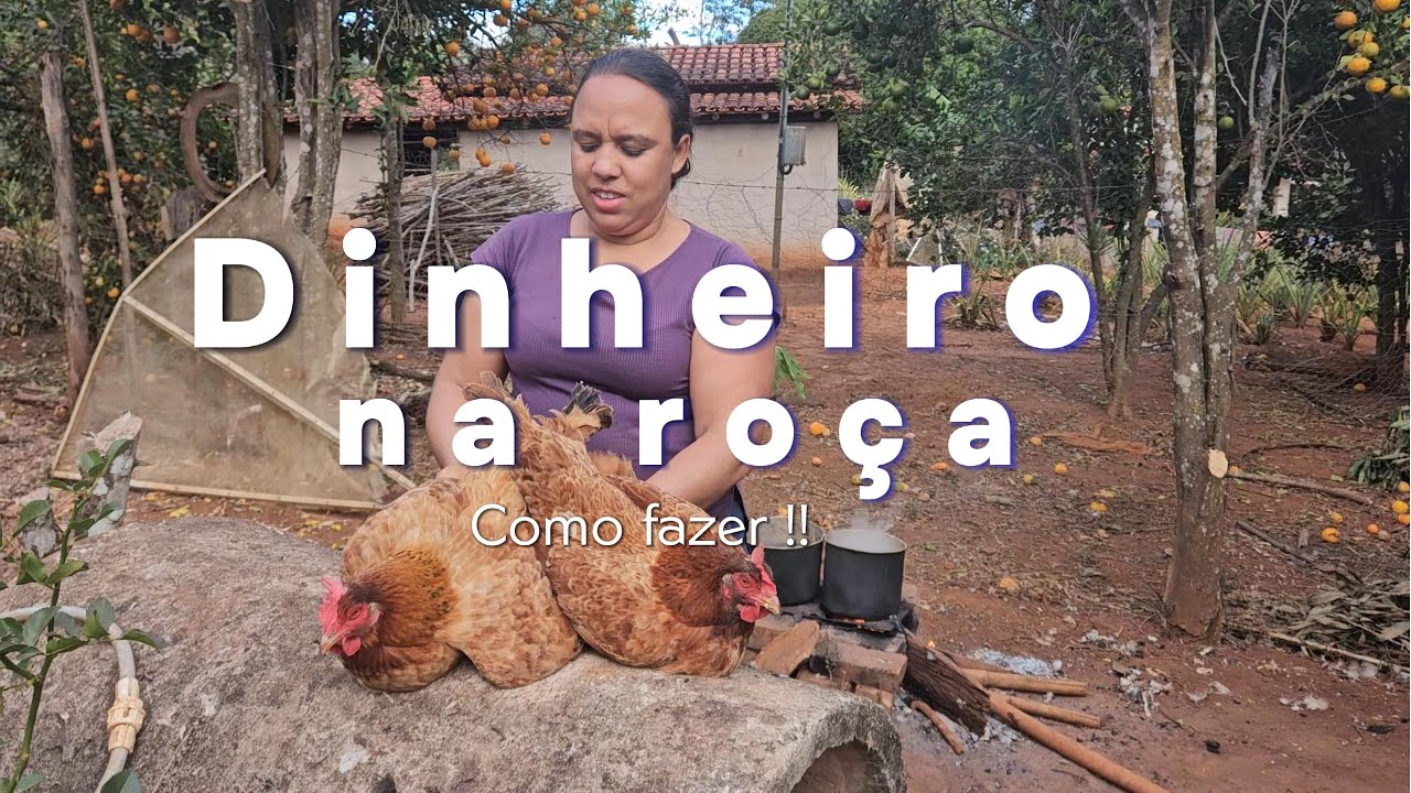 Como Ganhar Dinheiro na Roça com Galinhas | Dicas Práticas para Lucrar com Ovo e Frango