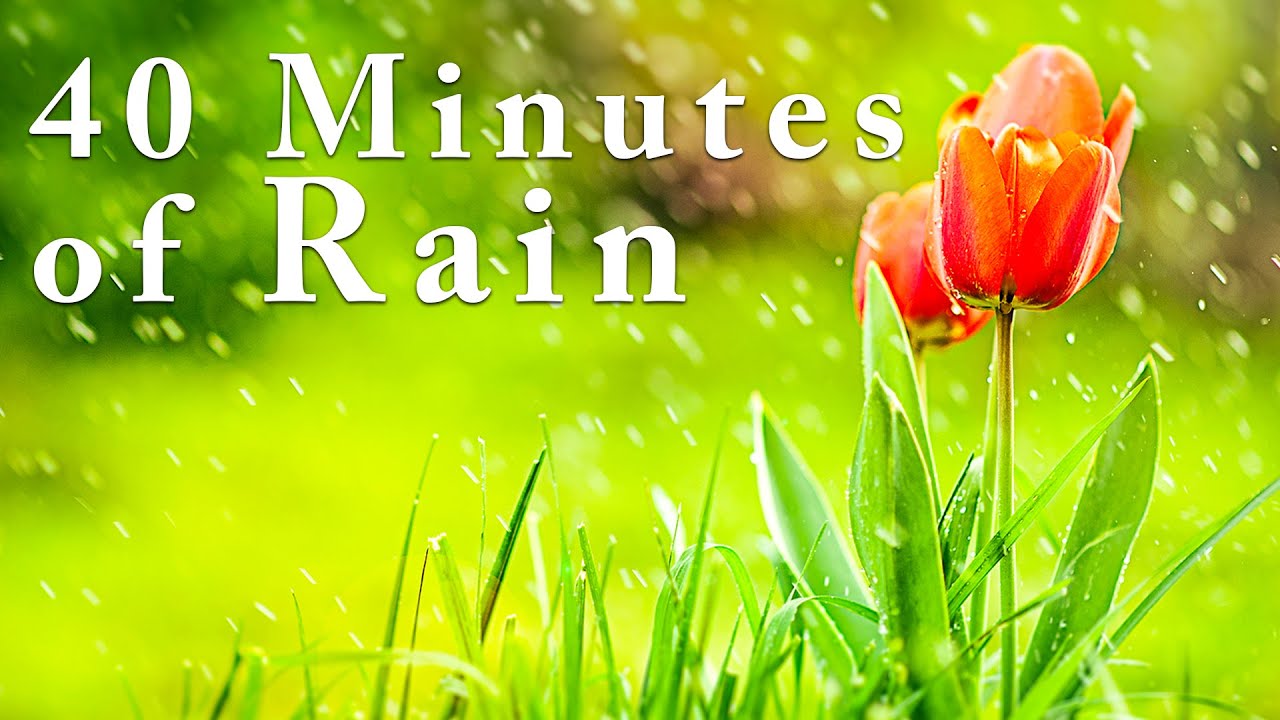 Rain Sounds: 40 minutes of Rain Ambience sounds for sleeping