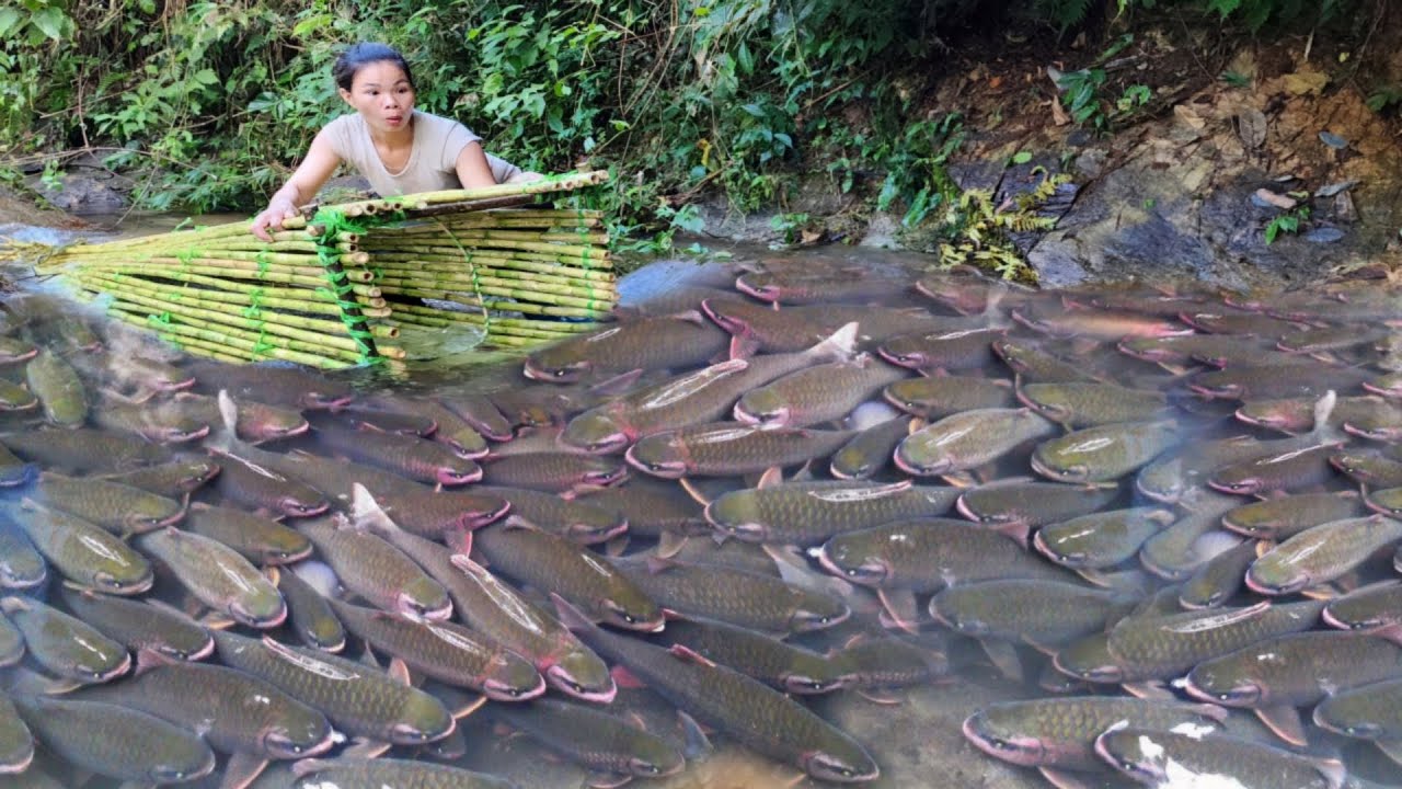 Full video of 21 days of making fish traps using ancient methods. Ana caught many big fish.