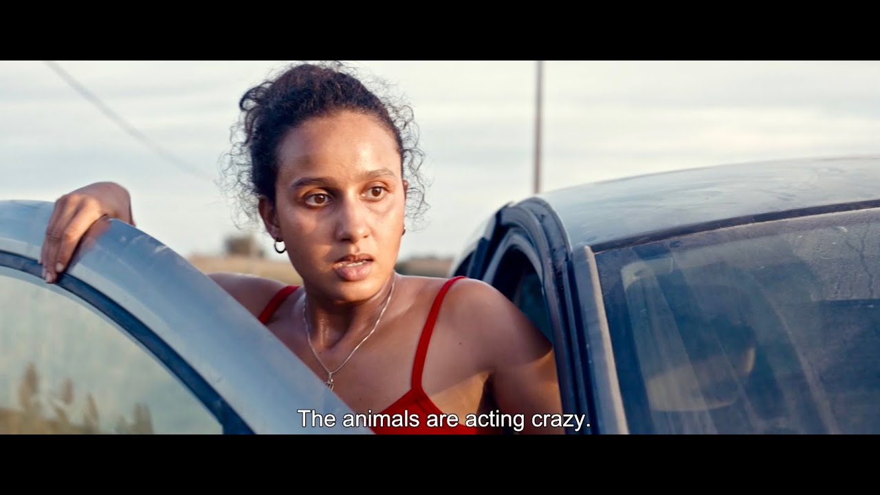 Animale (2024) - Trailer (English Subs)