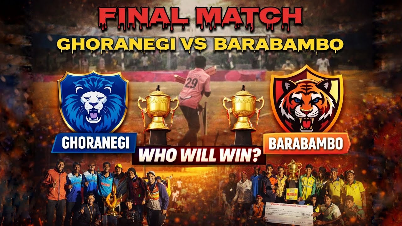 1 ball 4 run ki jarurat😲🏏 || Final match 🔥|| who will win🏆 ? || Vlog 30 ||