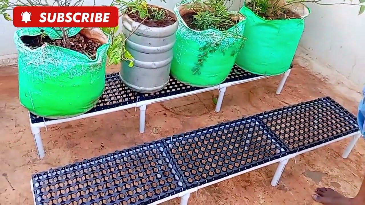 மாடித்தோட்டம்  Makeover part 1#gardening #terracegardenindia #trend