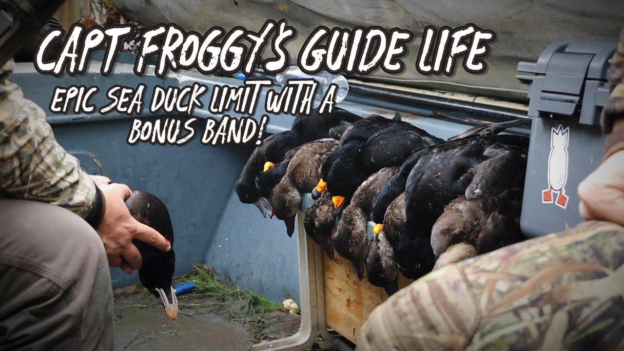 EPIC SEA DUCK LIMITS + A BONUS BAND | Nc Open Water Duck Hunting