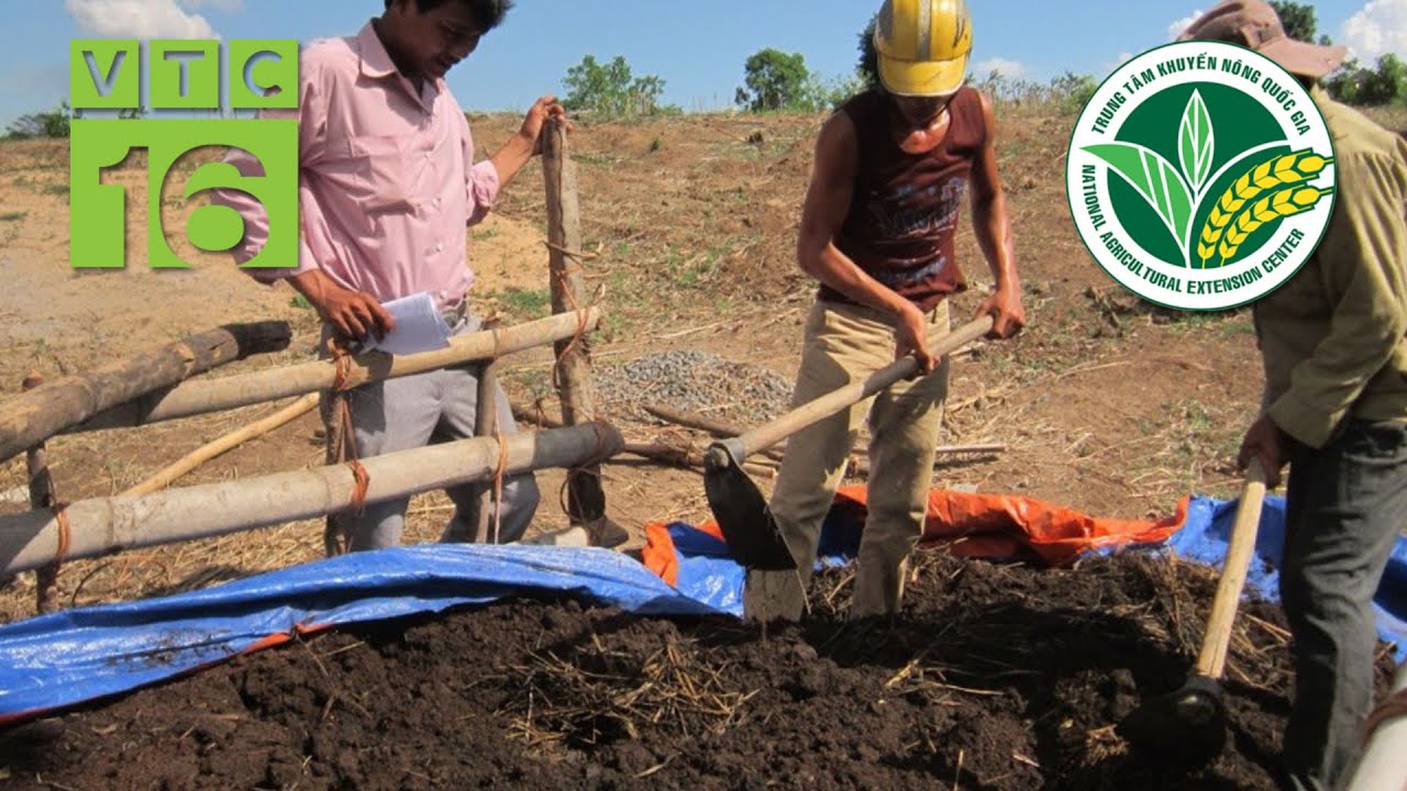 C&aacute;ch ủ ph&acirc;n chuồng th&agrave;nh ph&acirc;n hữu cơ vi sinh | VTC16