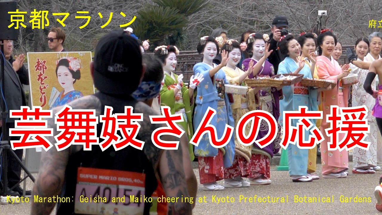 京都マラソン芸舞妓応援　府立植物園　2026  Kyoto Marathon: Geisha and Maiko cheering 　#舞妓#京都#kyoto