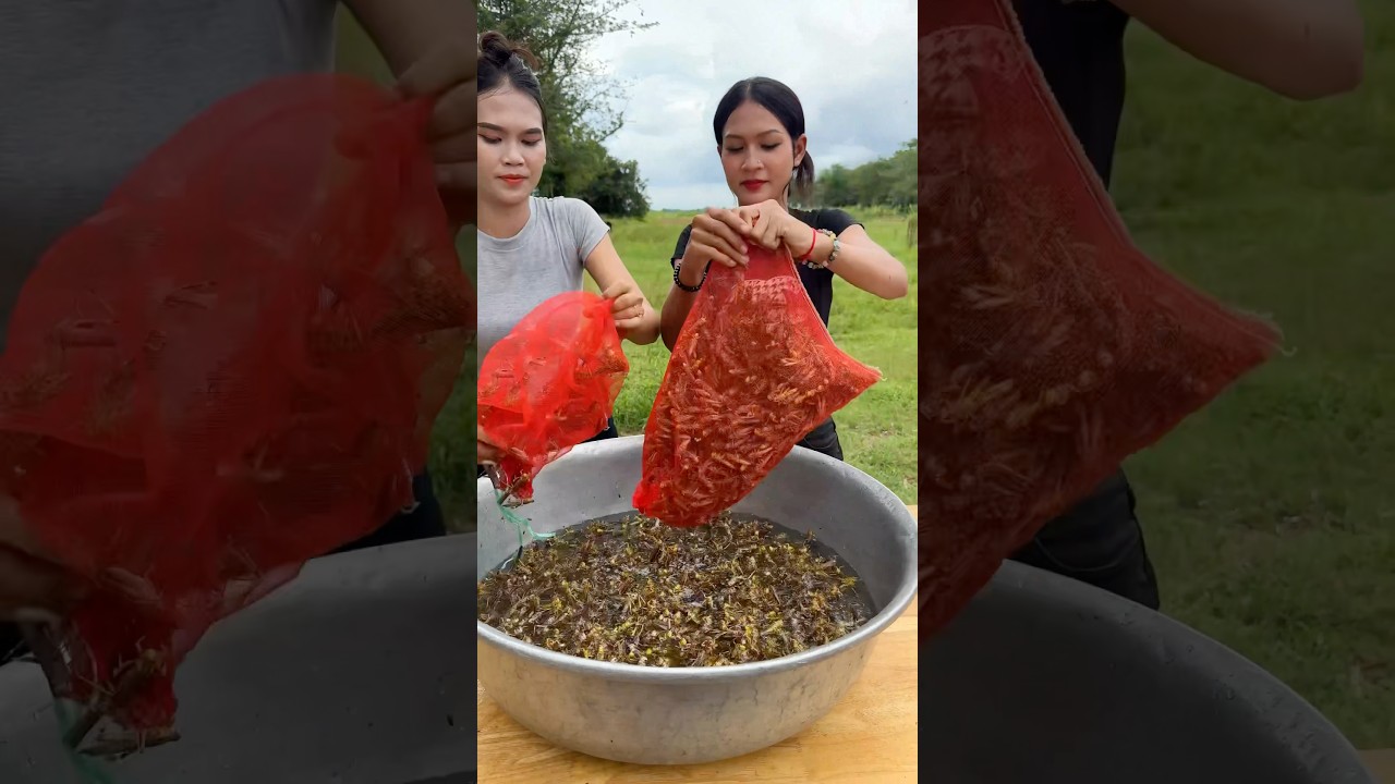 How to cook yummy food recipe #shorts #shortvideo #cooking #food #recipe