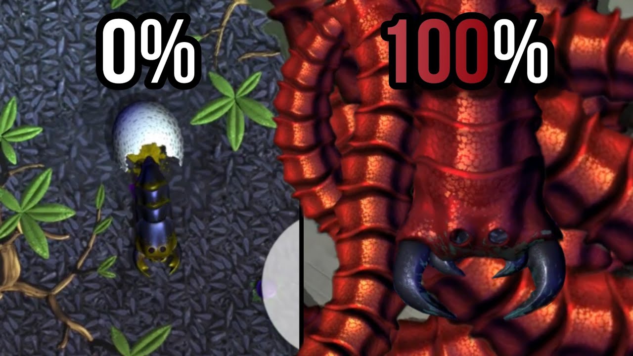 Aku 100% Kelabang di Insatia