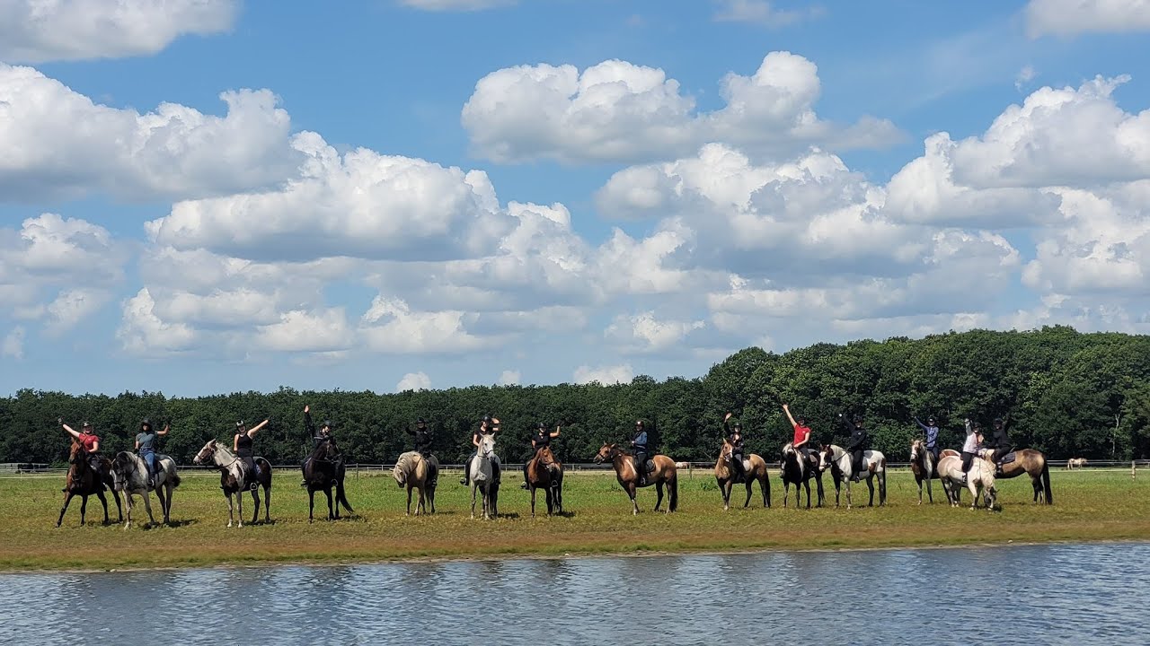 Rc het Fjordenpaard Week 2 2025