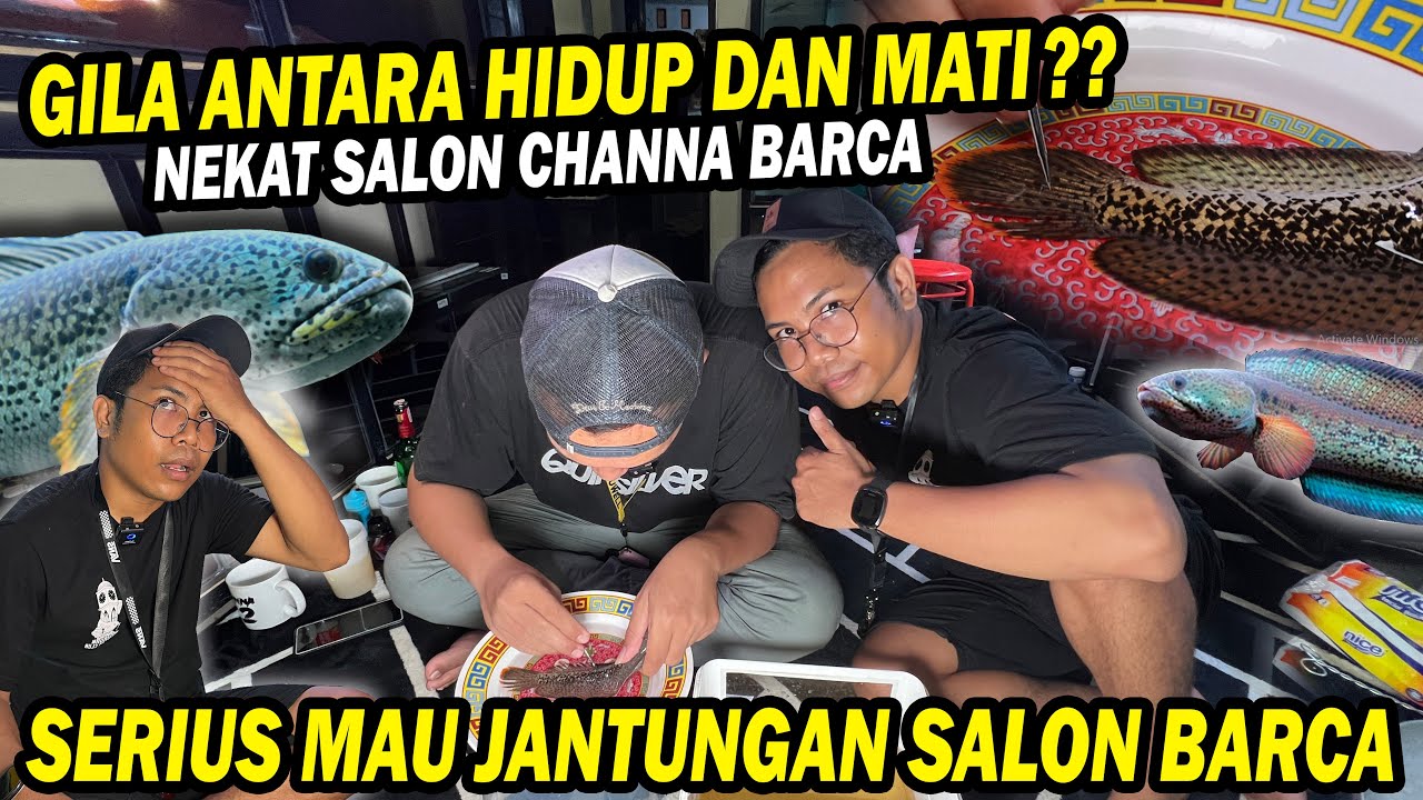 TERNEKAT!! BERANI SALON CHANNA BARCA?? RESIKO HIDUP DAN MATI
