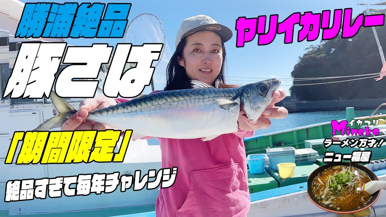 「期間限定」勝浦の巨大豚さば～ヤリイカリレー船IN和八丸 毎年恒例！勝浦絶品の寒サバ～ヤリイカ釣り 脂ノリノリの巨大寒サバは絶品すぎて毎年チャレンジ　イカつりMinekoのラーメン万才はニュー福屋さん