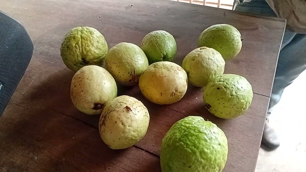 Mais um dia de trabalho Aqui em cá