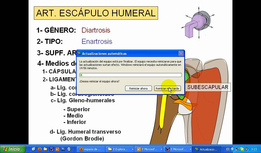 2- Articulación escápulo humeral.avi