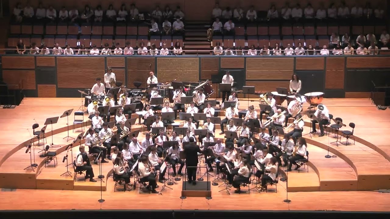 011   Suite per orchestra di varietà, Waltz   D  Shostakovic