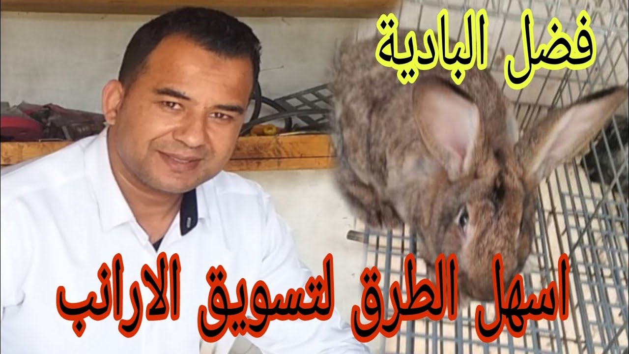 فضل البادية : ابسط الطرق للنجاح في تسويق الأرانب