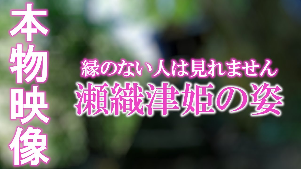 ⚠️神回※もし逃したら二度とありません※瀬織津姫様が降臨しました【天赦日】｜高千穂瀬織津姫神社遠隔参拝142