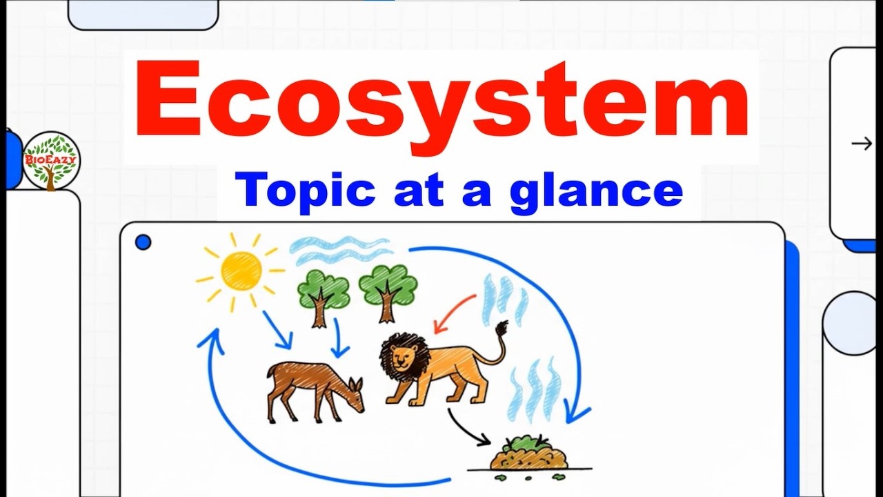 Ecosystem || Topic at a glance || पारितंत्र 