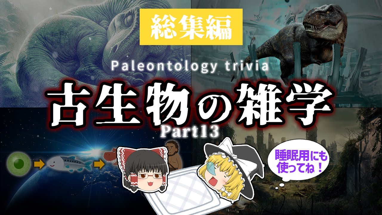 【睡眠用・ゆっくり解説】古生物の雑学 Part.13　恐竜恒温説/第6の大量絶滅/46億年カレンダーなど【広告最初のみ　途中広告なし】