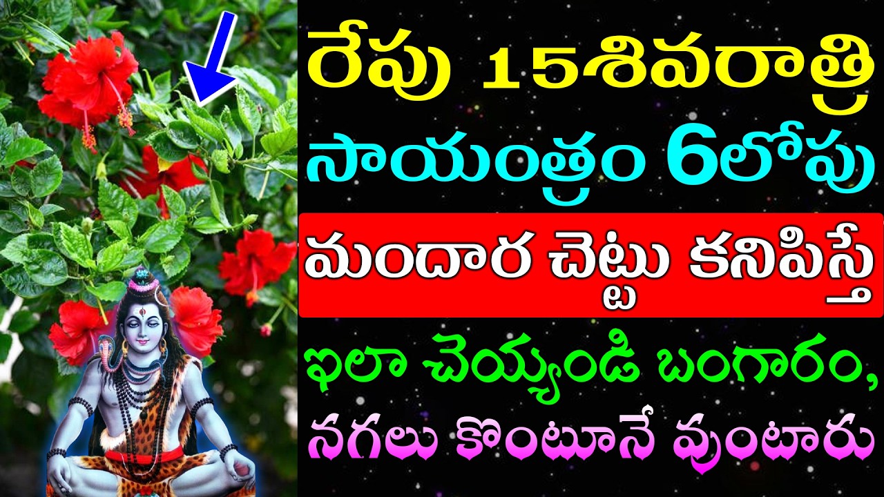 రేపు శివరాత్రి రోజు సాయంత్రం 6లోపు మందార చెట్టు కనిపిస్తే ఇలా చెయ్యండి బంగారం,నగలు కొంటూనే వుంటారు