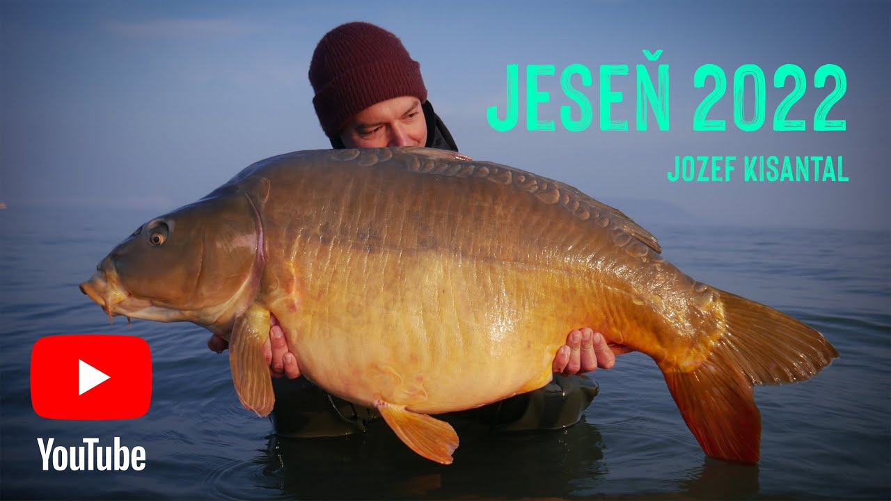 Jeseň 2022  - Kaprárina / Carp Fishing (Zväzovka SK, Balaton, Palotás)