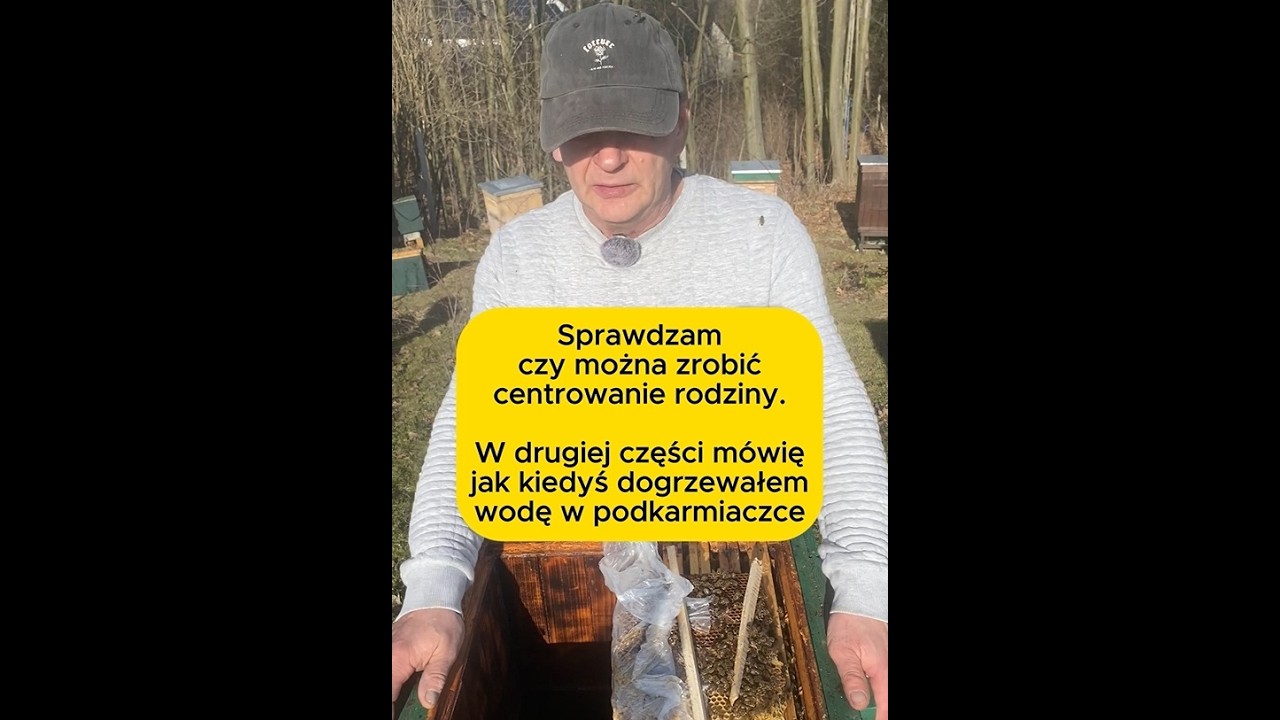 Sprawdzam czy można zrobić centrowanie rodziny. #bee #beekeeping