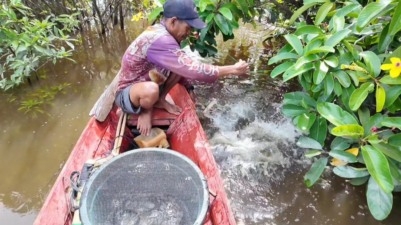 REJEKI DI BULAN RAMADHAN TOTALNYA 13 EKOR IKAN TOMAN