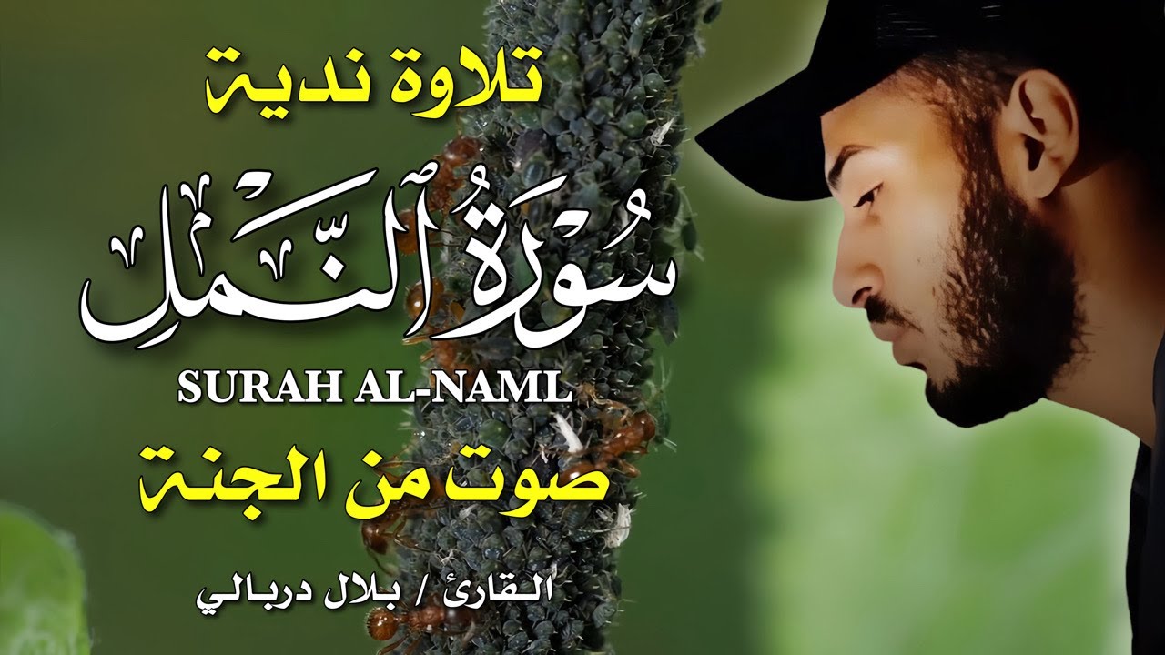 سورة النمل كاملة 🎧 بصوت القارئ بلال دربالي | تلاوة خاشعة تلامس القلوب وتغمر النفس بالسكينة ✨📖