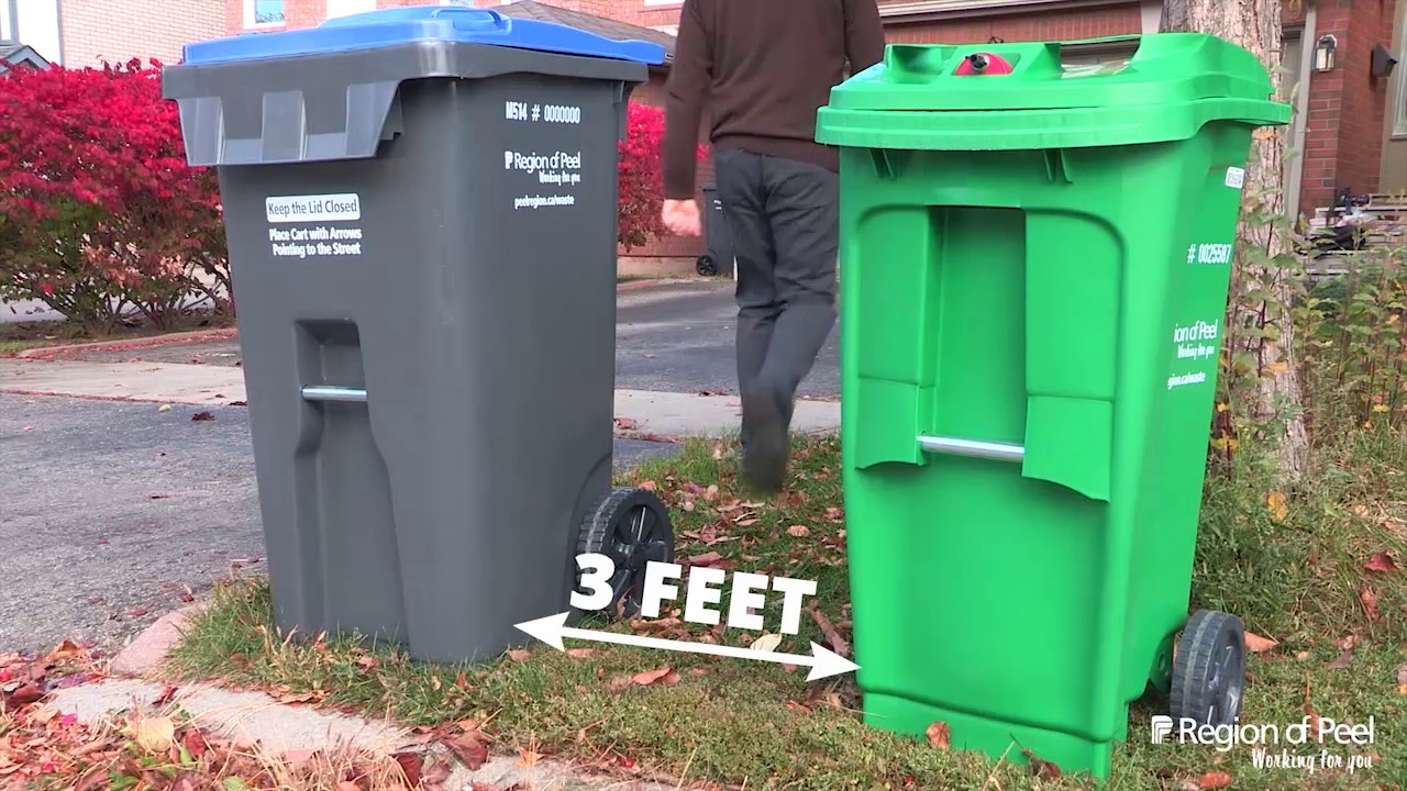 How To Place Your Carts