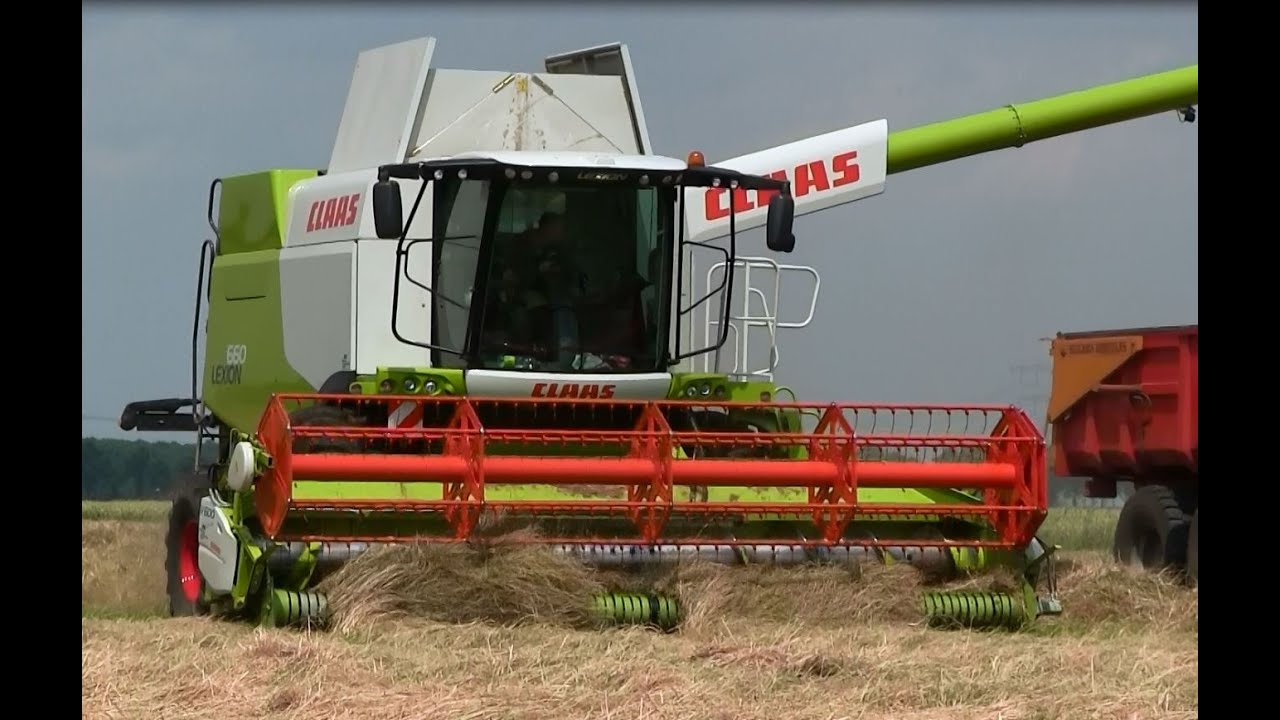 Graszaad dorsen met CLAAS LEXION 660.