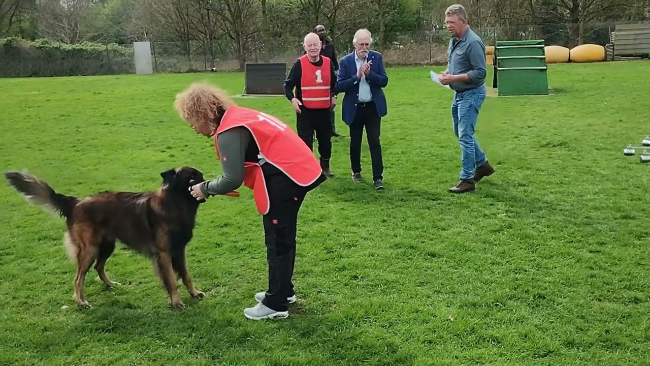 KNPV Detectie A keuring